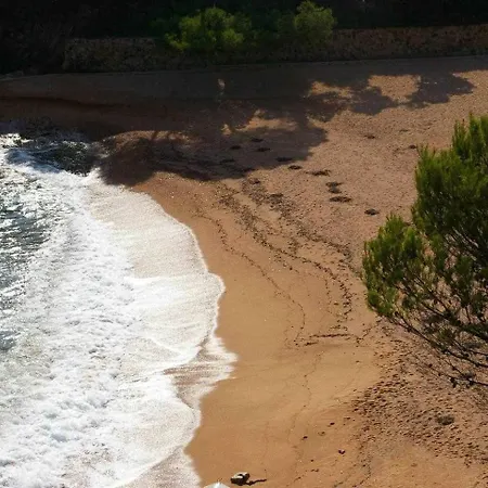 Apartment Cala Salionc 12 - 1ª Linea De Mar Con A/a Tossa de Mar