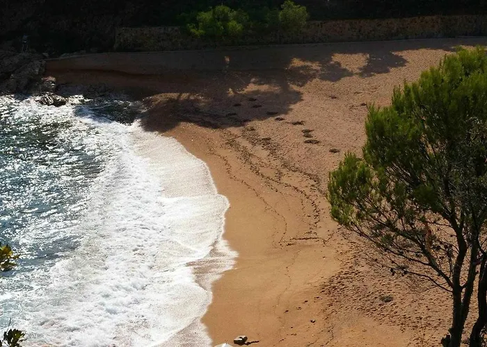 Cala Salionc 12 - 1ª Linea De Mar Con A/a Appartement *